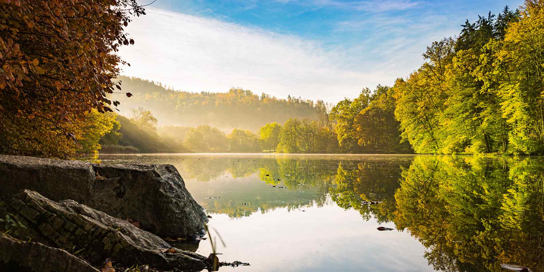 großer See im Wald 