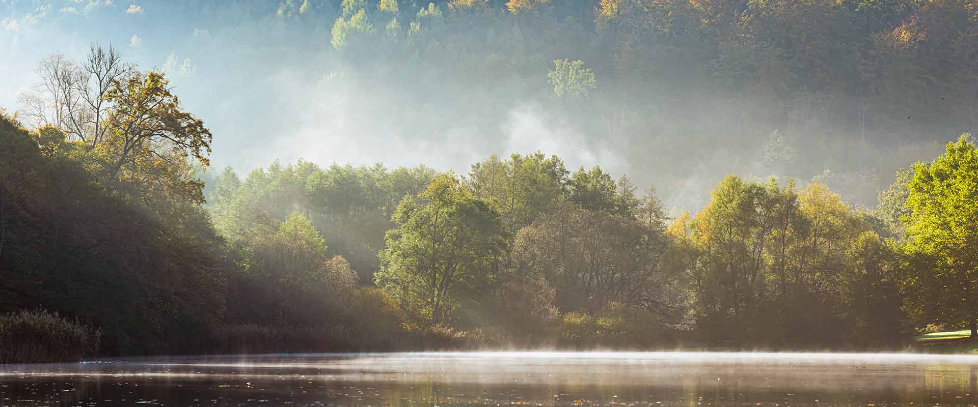 Naturaufnahme See und Wald